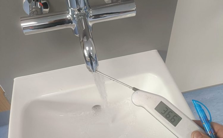 Thermostatic Mixing Valve Servicing